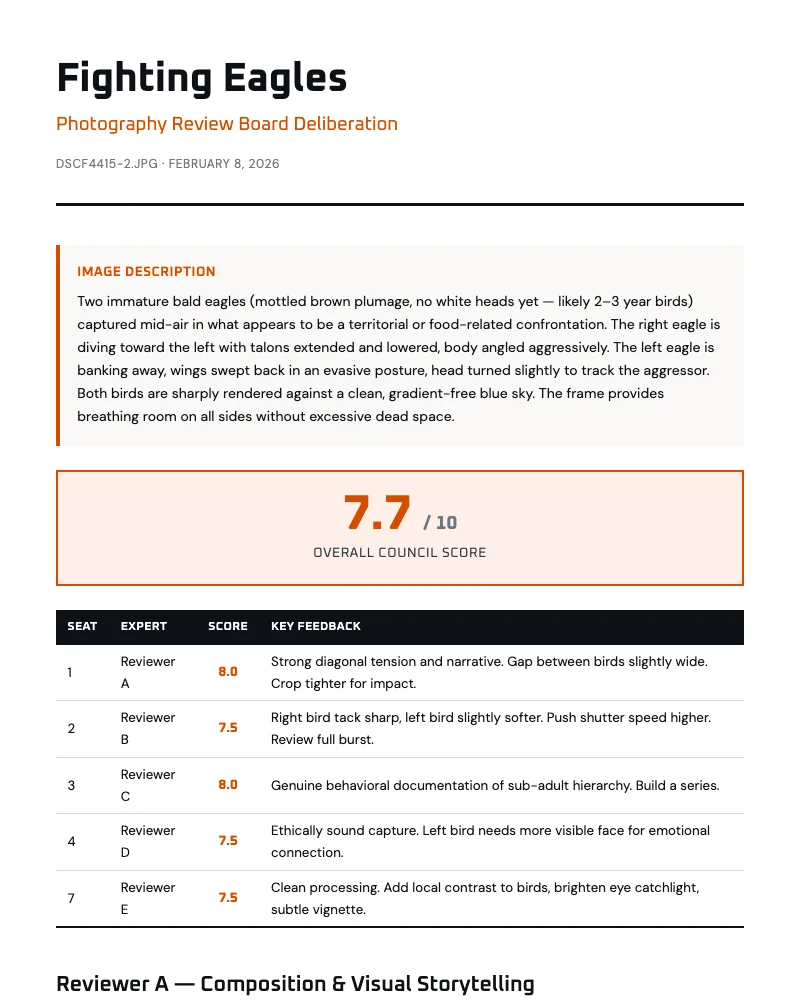 Sample ShutterCrit review showing Fighting Eagles photo with 7.7/10 score and expert feedback table